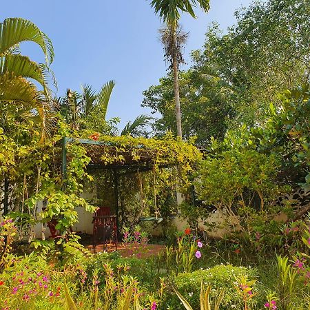 Villa My Long كان ثو المظهر الخارجي الصورة